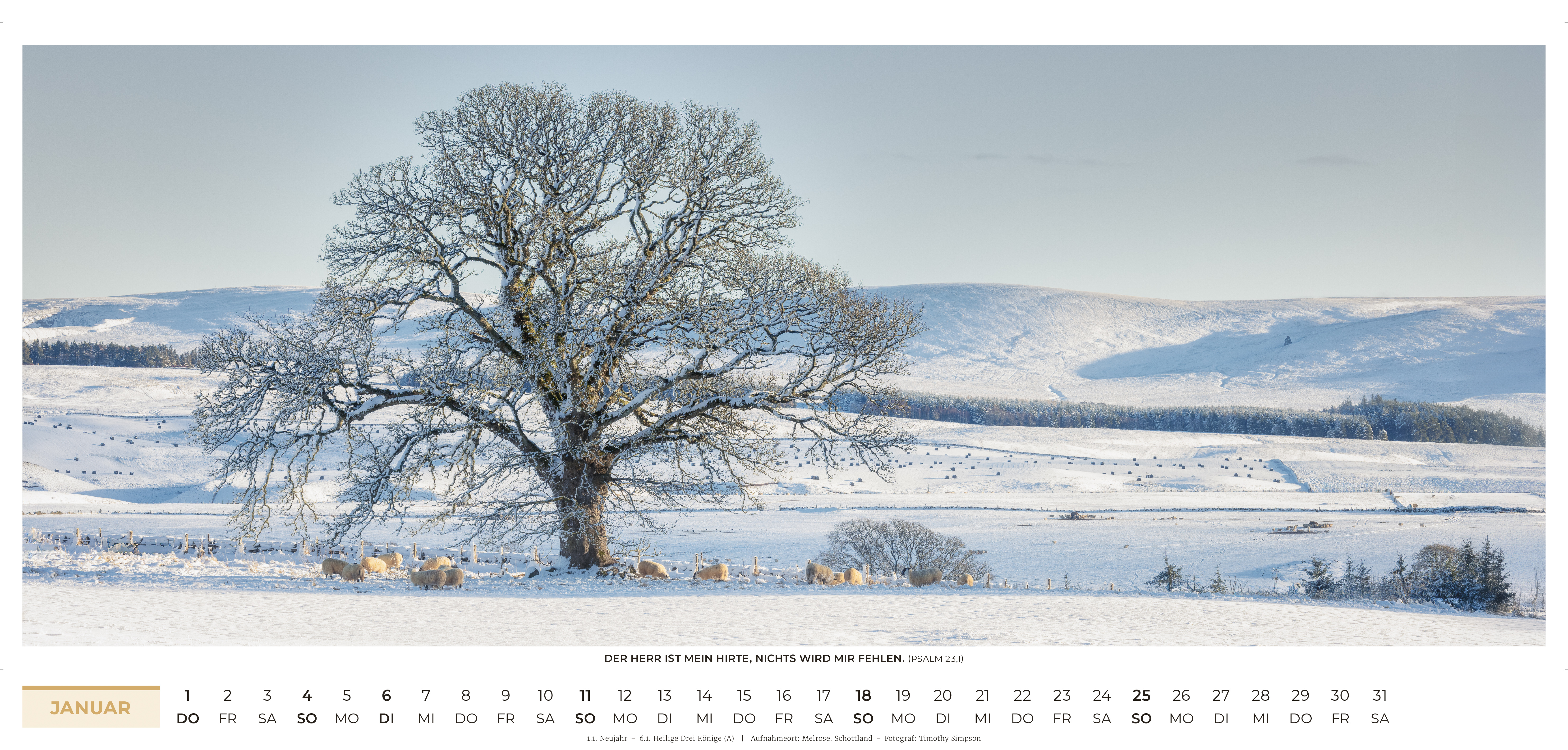 Life-is-More Panoramakalender XL 2026