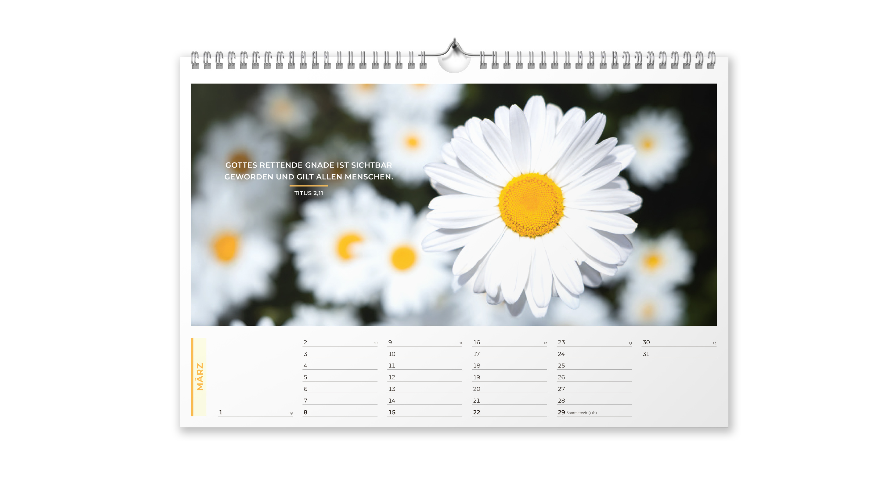 Life-is-More Panoramakalender M 2026 *NEU*