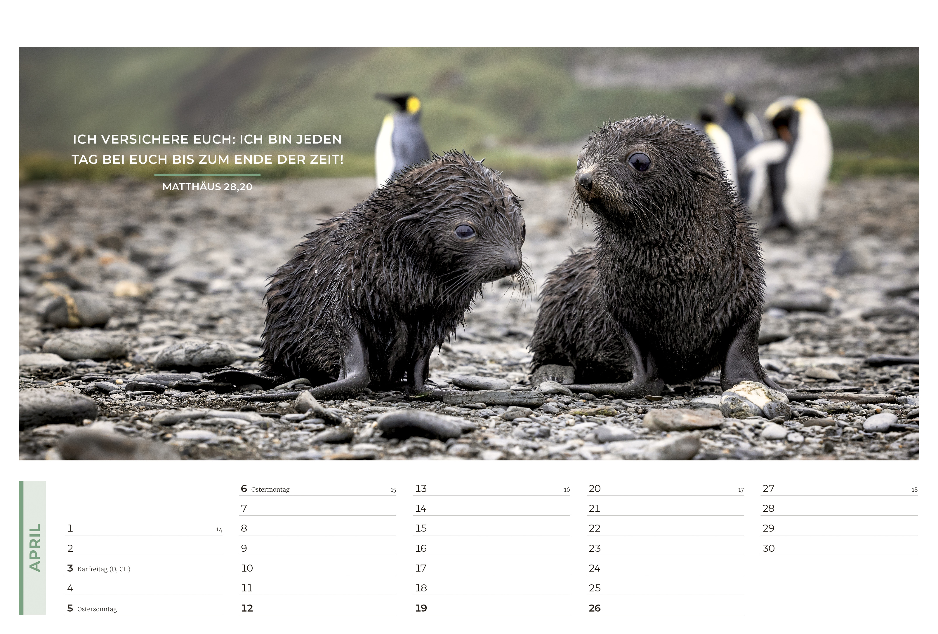 Life-is-More Panoramakalender M 2026 *NEU*