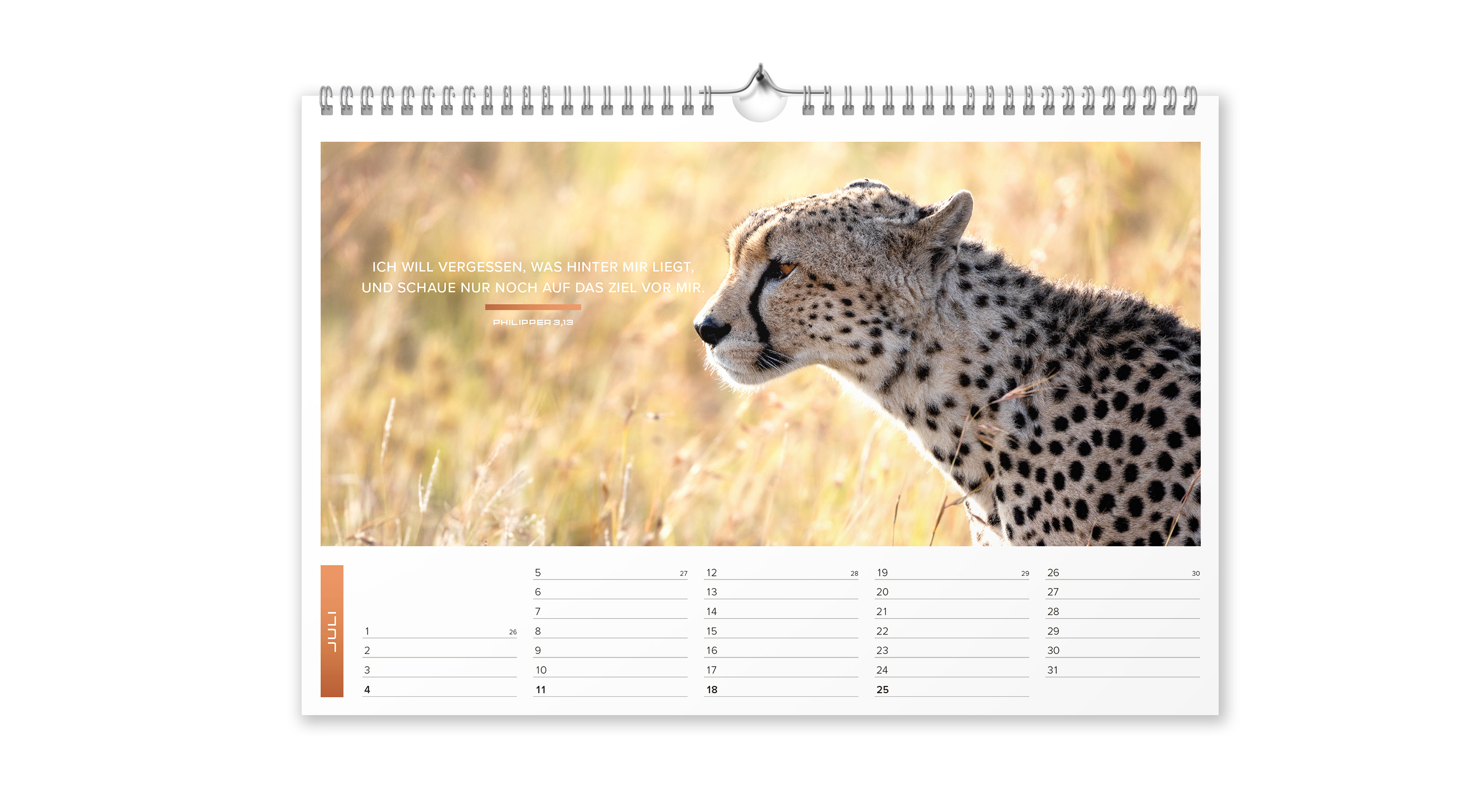 Life-is-More Panoramakalender M 2027 *NEU*