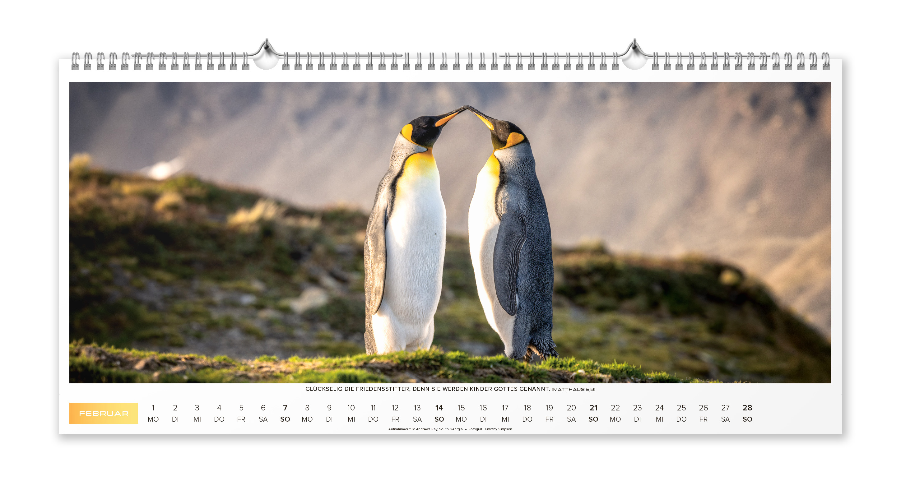 Life-is-More Panoramakalender XL 2027