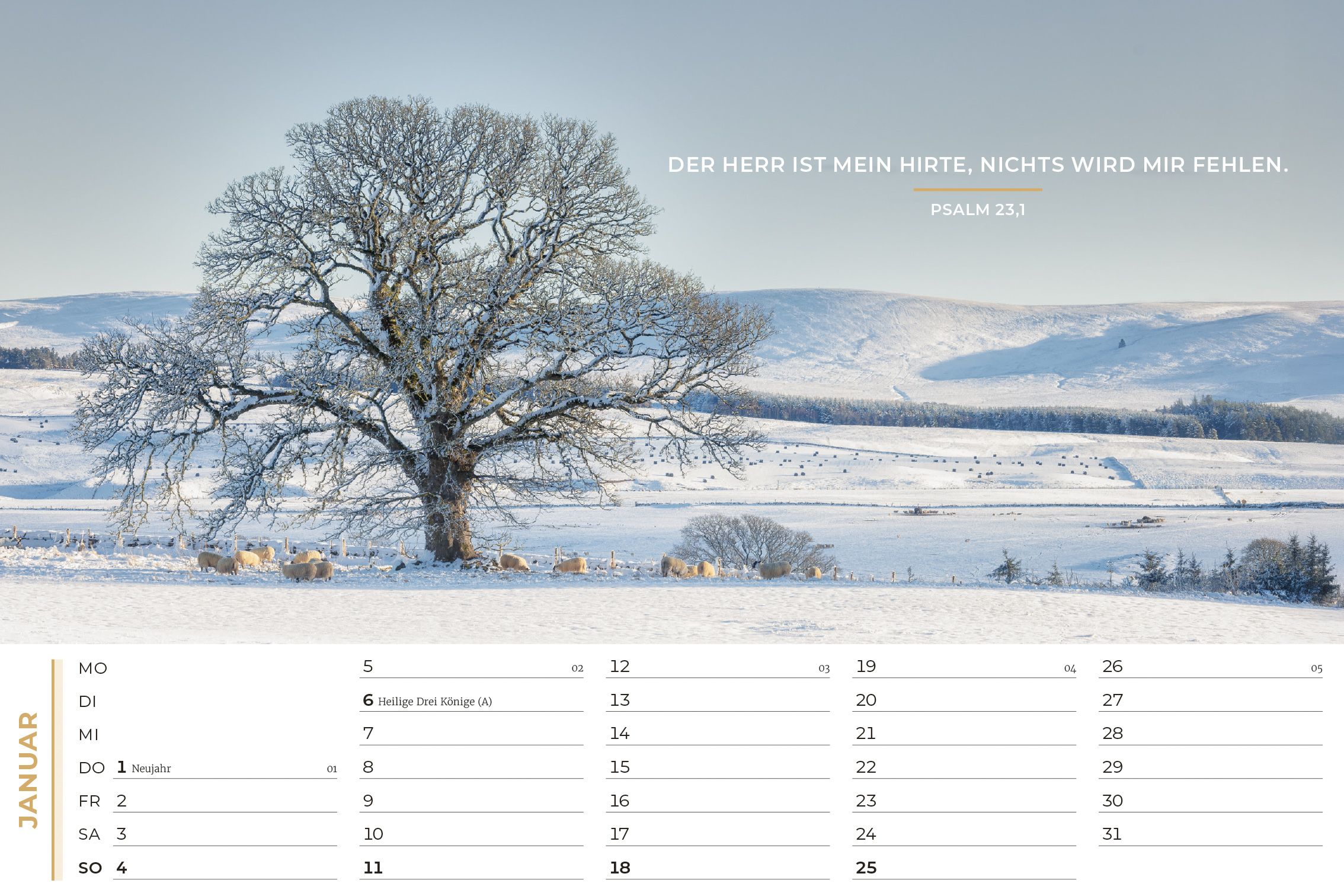 Life-is-More Panoramakalender 2026