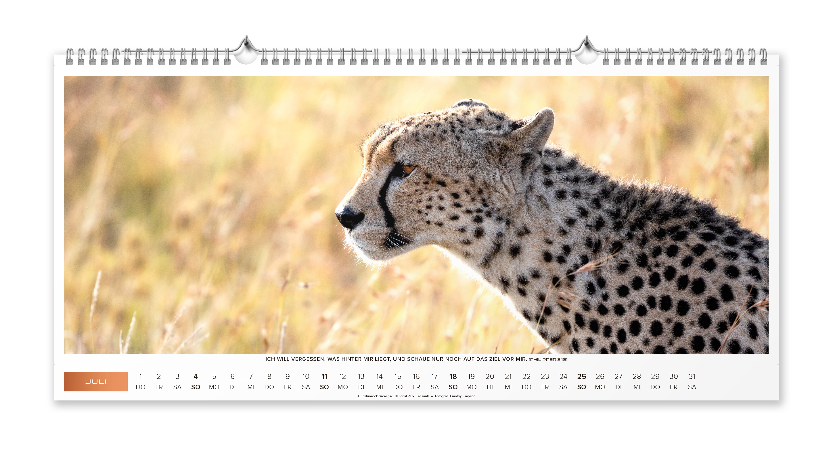 Life-is-More Panoramakalender XL 2027