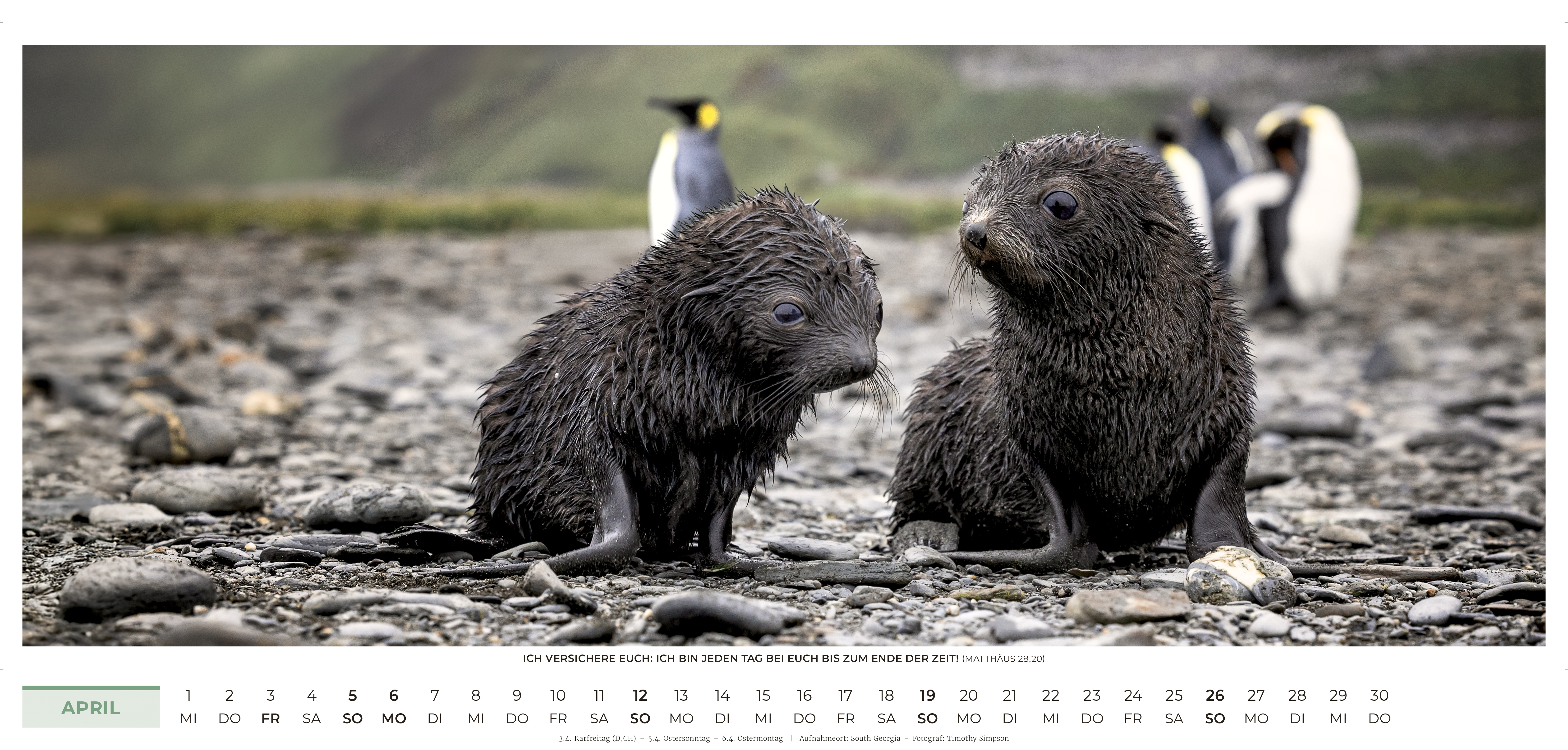 Life-is-More Panoramakalender XL 2026