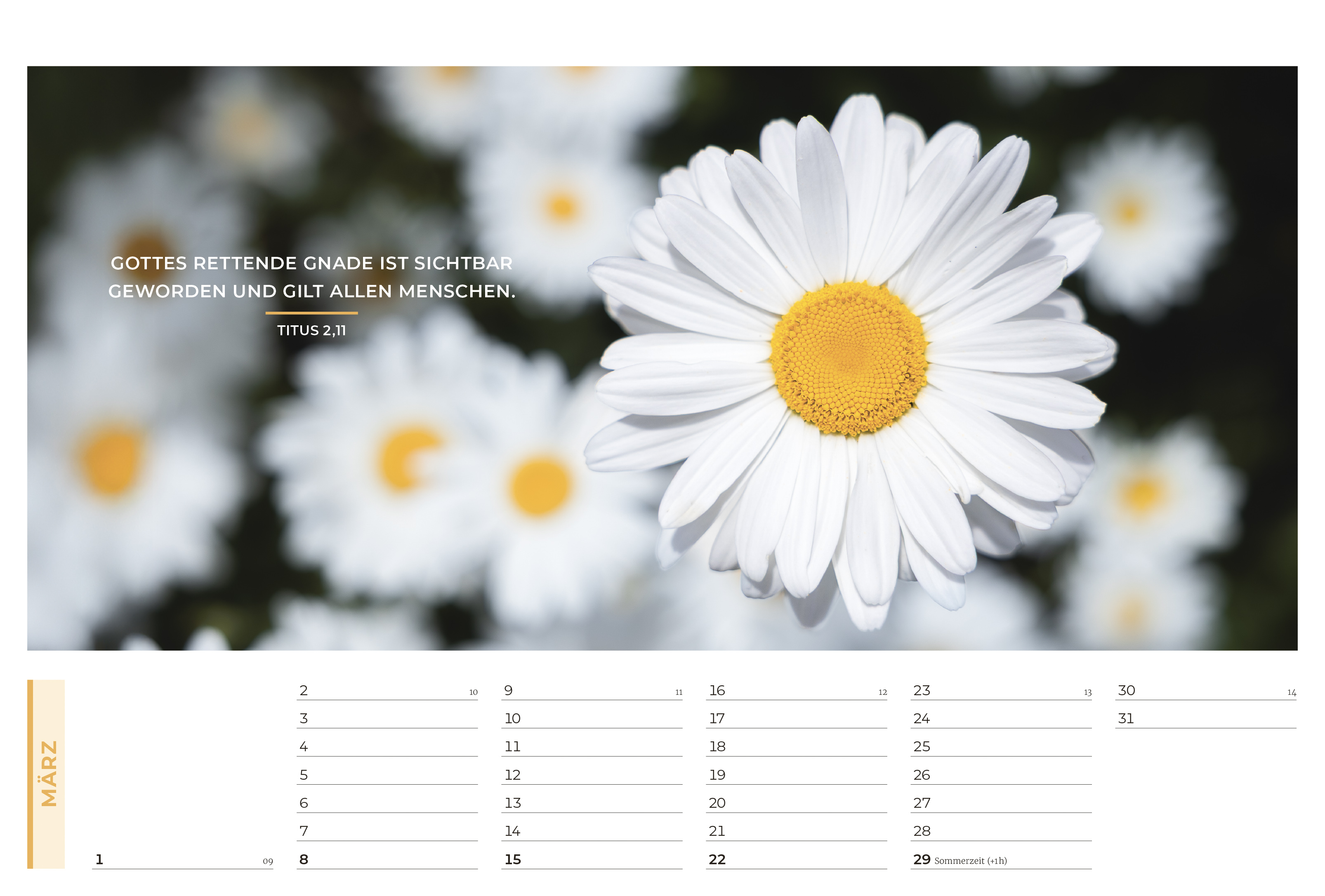 Life-is-More Panoramakalender M 2026 *NEU*