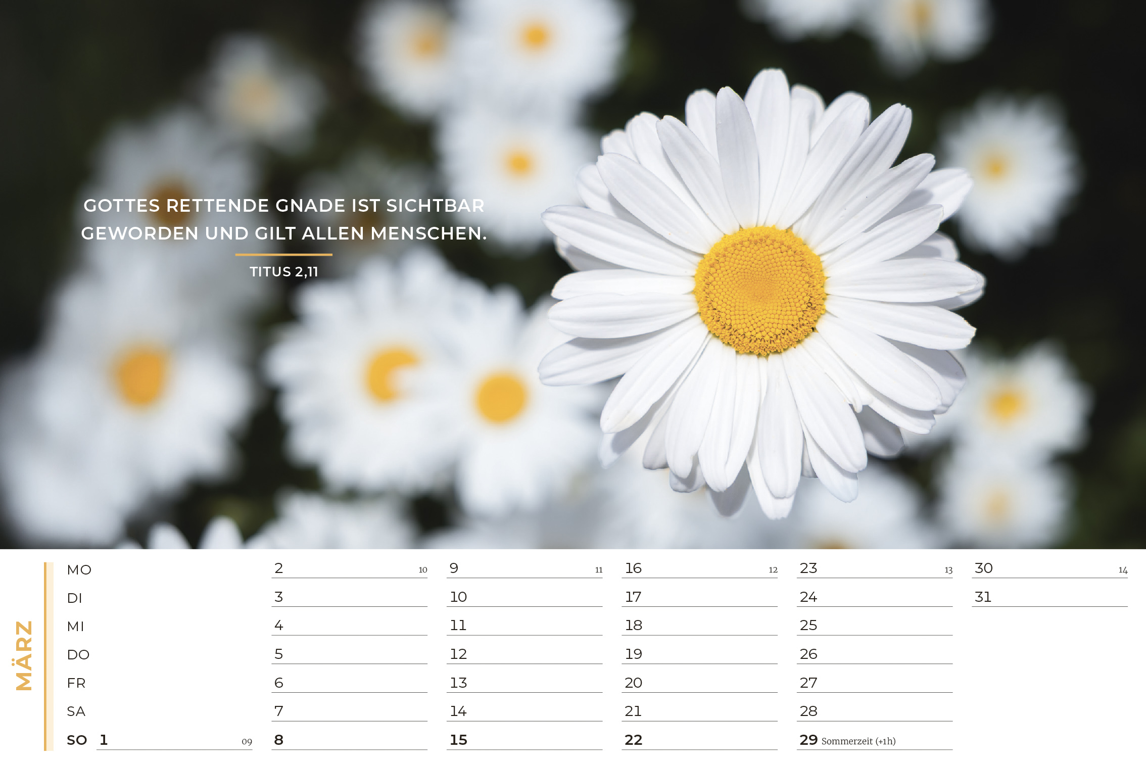 Life-is-More Panoramakalender 2026