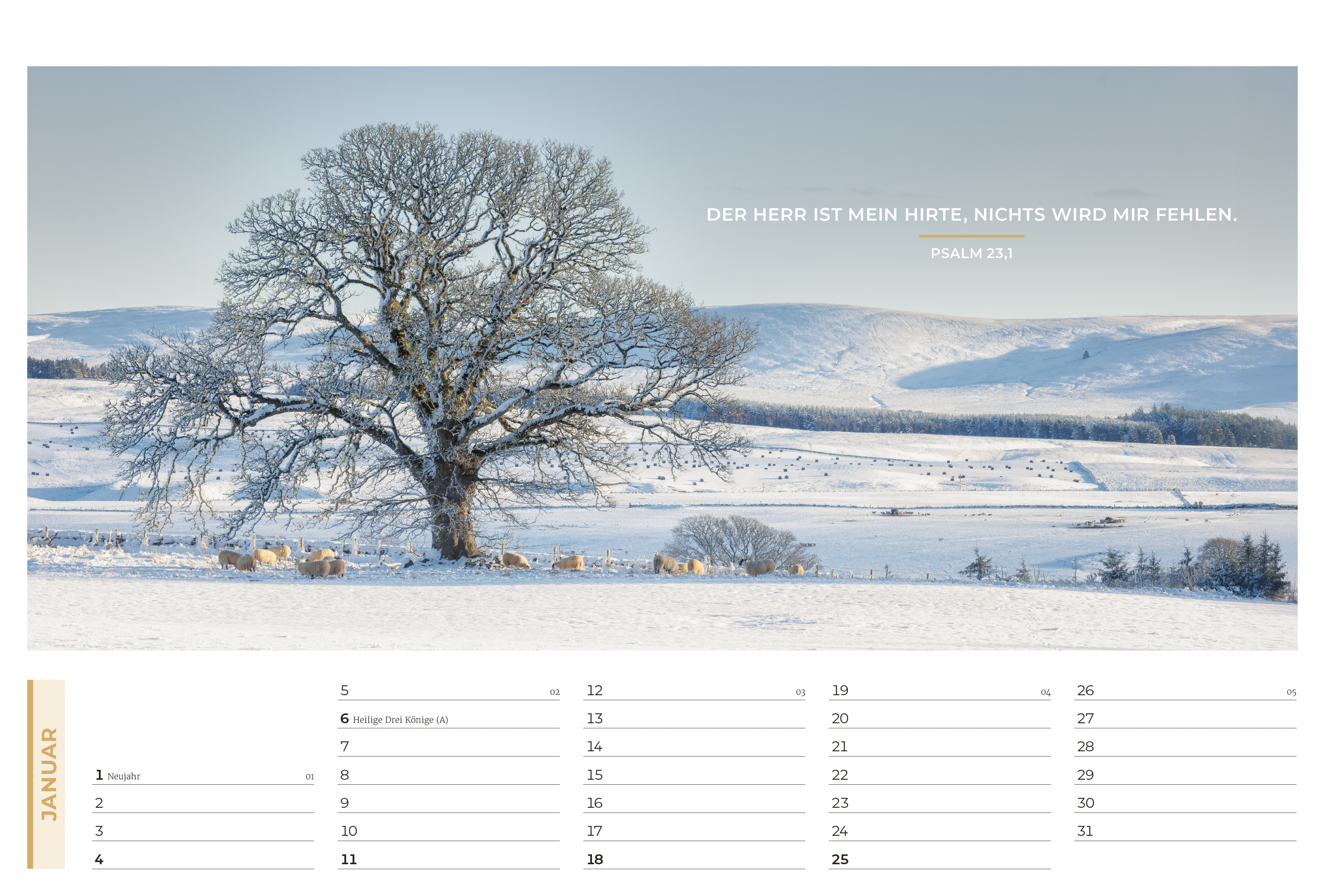 Life-is-More Panoramakalender M 2026 *NEU*